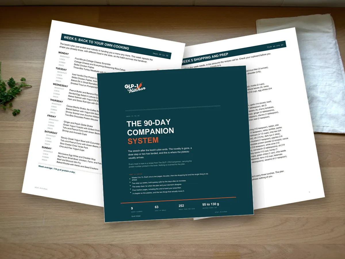 The 90-Day Companion System PDF.